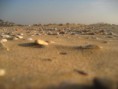 /album/%c5%9file/img-8099-jpg/